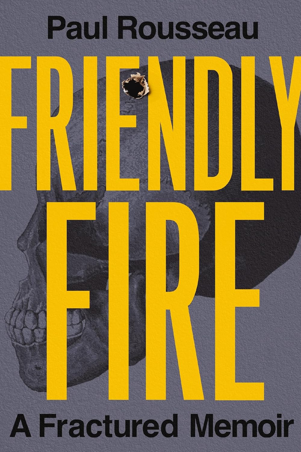 Friendly Fire A Fractured Memoir