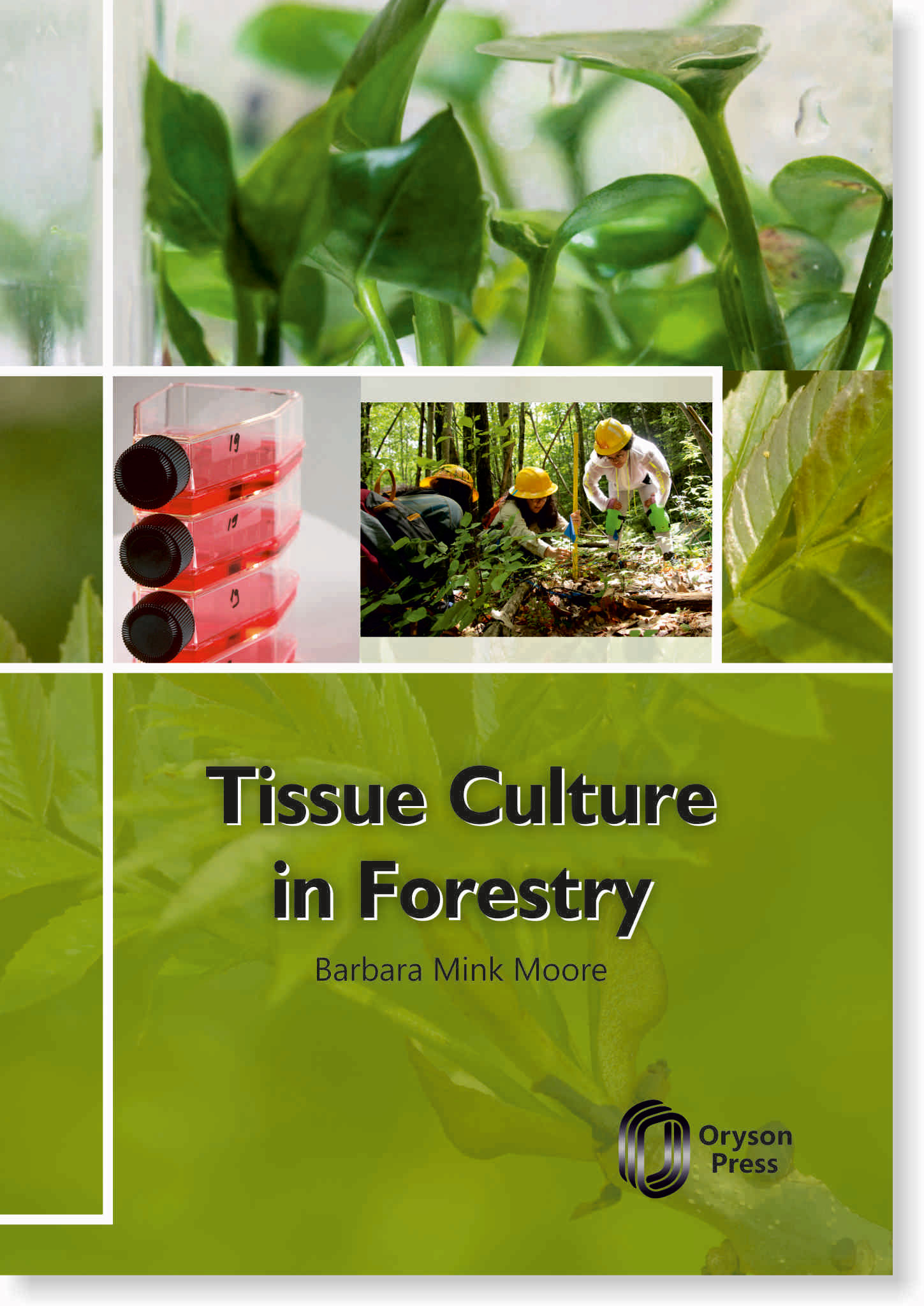 Tissue Culture In Forestry