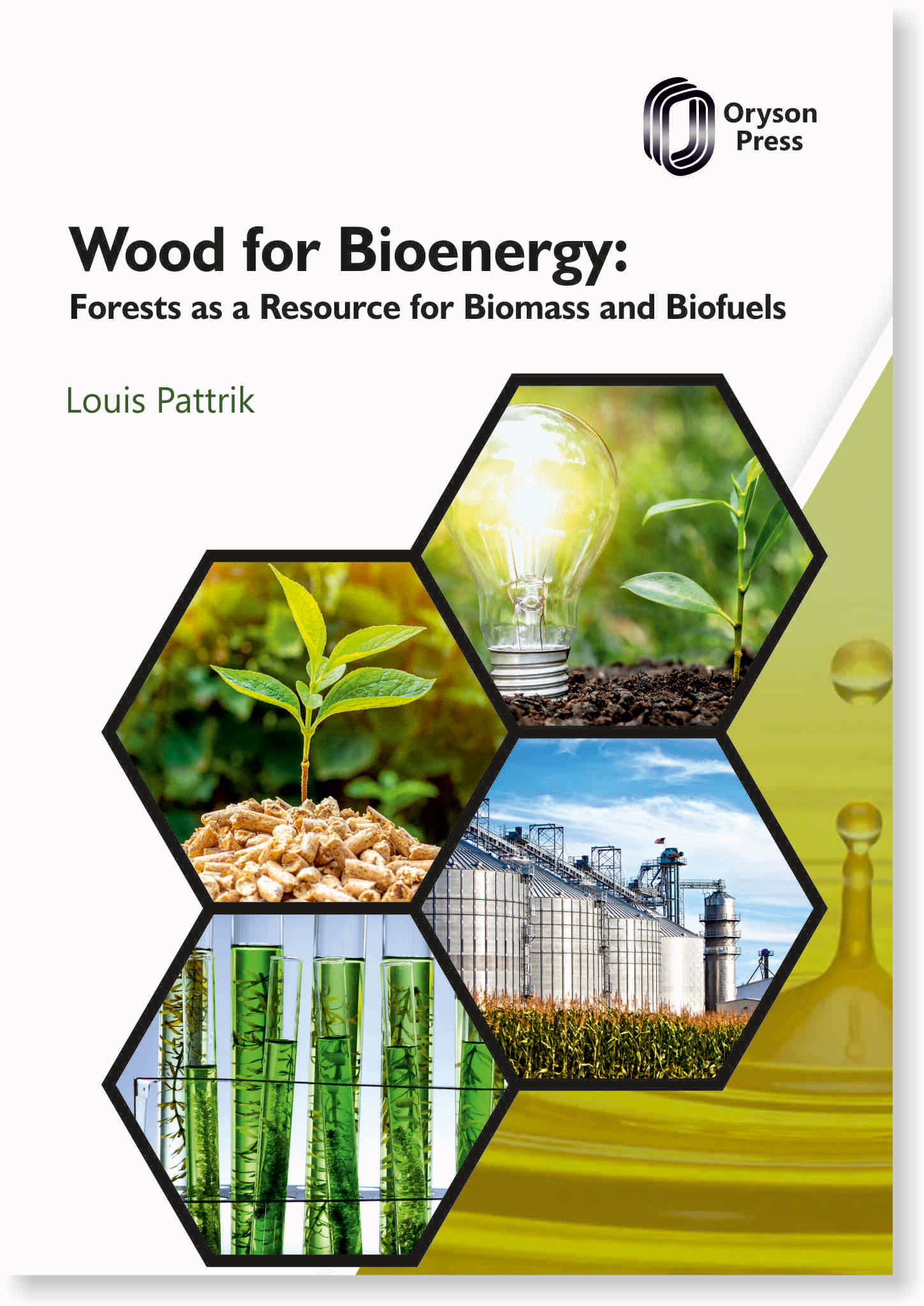 Wood for Bioenergy: Forests as a Resource for Biomass and Biofuels