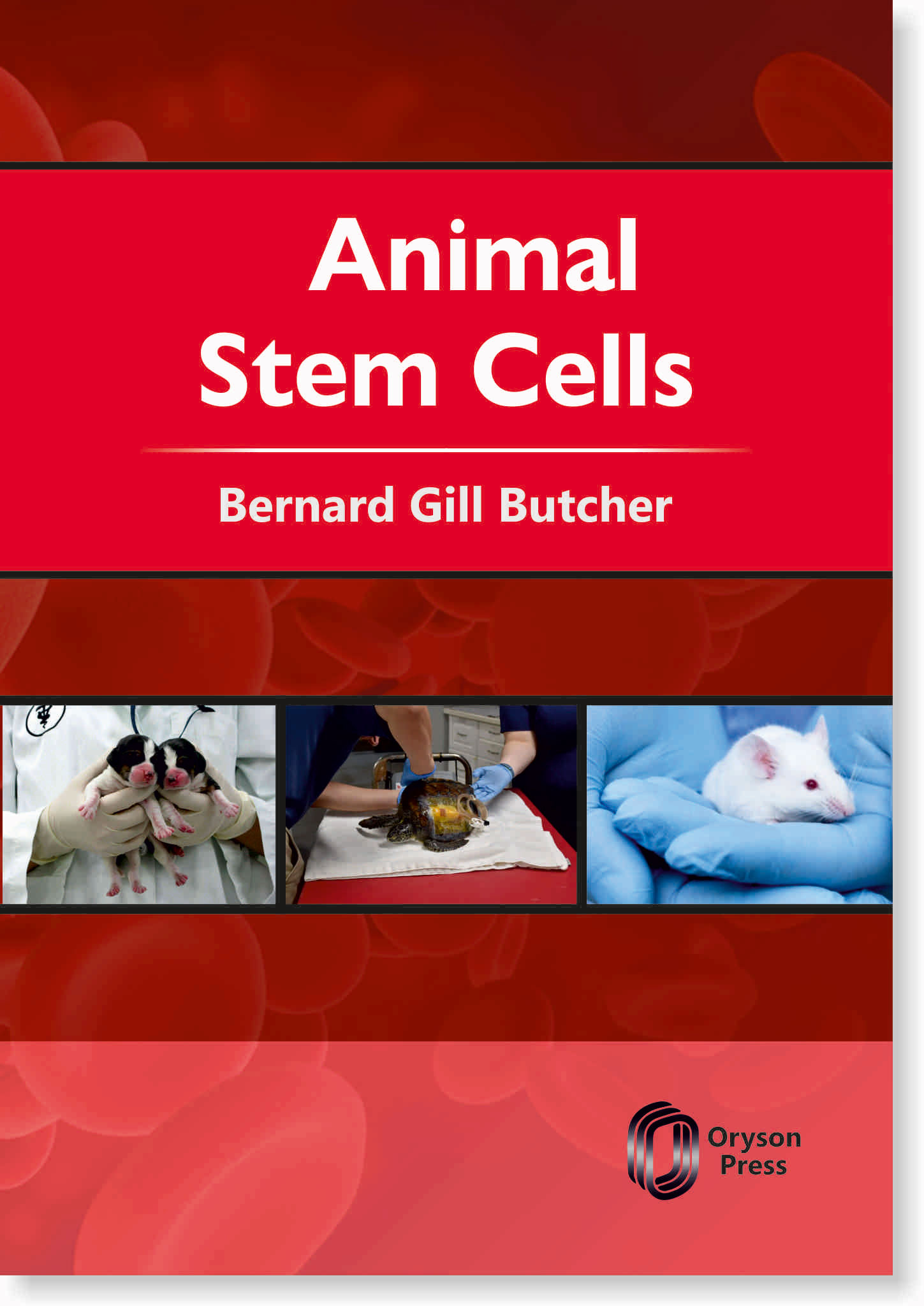 Animal Stem Cells