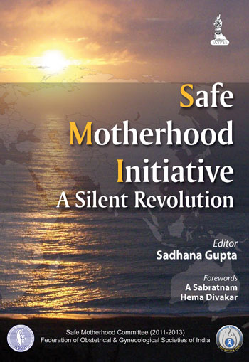 Safe Motherhood Initiative A Silent Revolution