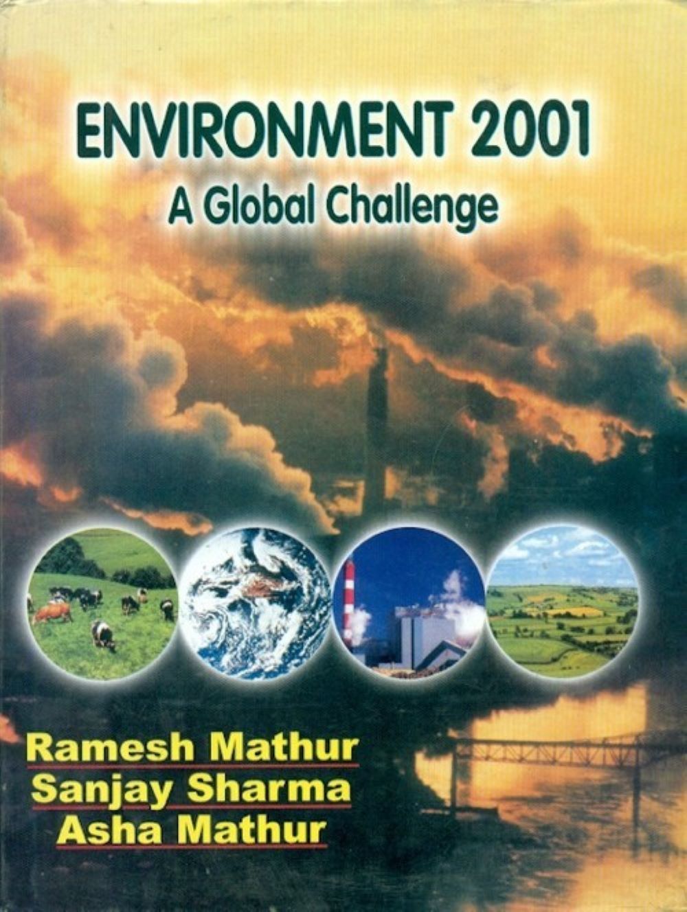 Environment 2001 a global challenge 