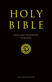 Holy Bible:(Esv) Anglicised Pink Compact Gift Edition
