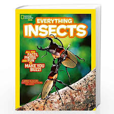 Everything: Insects