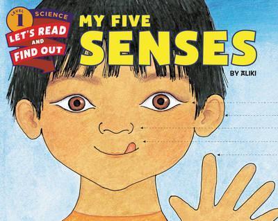 MY FIVE SENSES