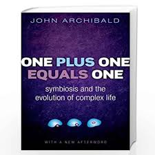 ONE PLUS ONE EQUALS ONE P