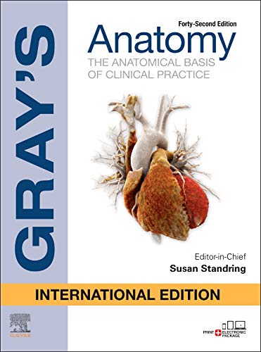 Gray's Anatomy International Edition 