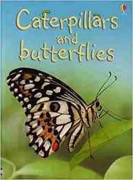 Caterpillars & Butterflies