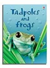 Tadpoles And Frogs