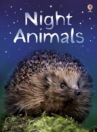 Night Animals