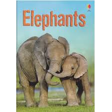 Elephants