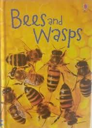 Bees And Wasps