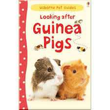 Looking After Guinea Pigs