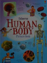 Human Body Picture Book