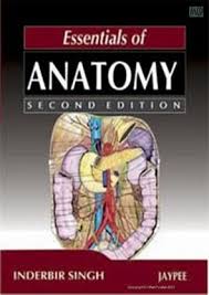 Essentials of Anatomy