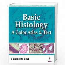 Basic Histology: A Color Atlas and Text