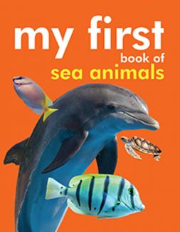 MY FIRST BOOK OF SEA ANIMALS (PADDED BOARD BOOK)