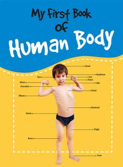 MY FIRST BOOK OF HUMAN BODY
