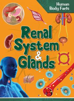 Human Body Facts: Renal system & Glands