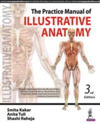The Practice Manual of Illustrative Anatomy